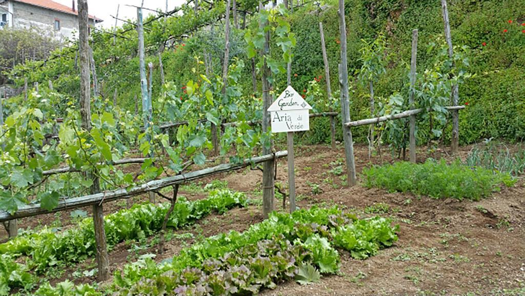 Appartamenti Aria Di Verde Agerola Exteriör bild