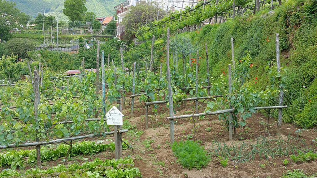 Appartamenti Aria Di Verde Agerola Exteriör bild