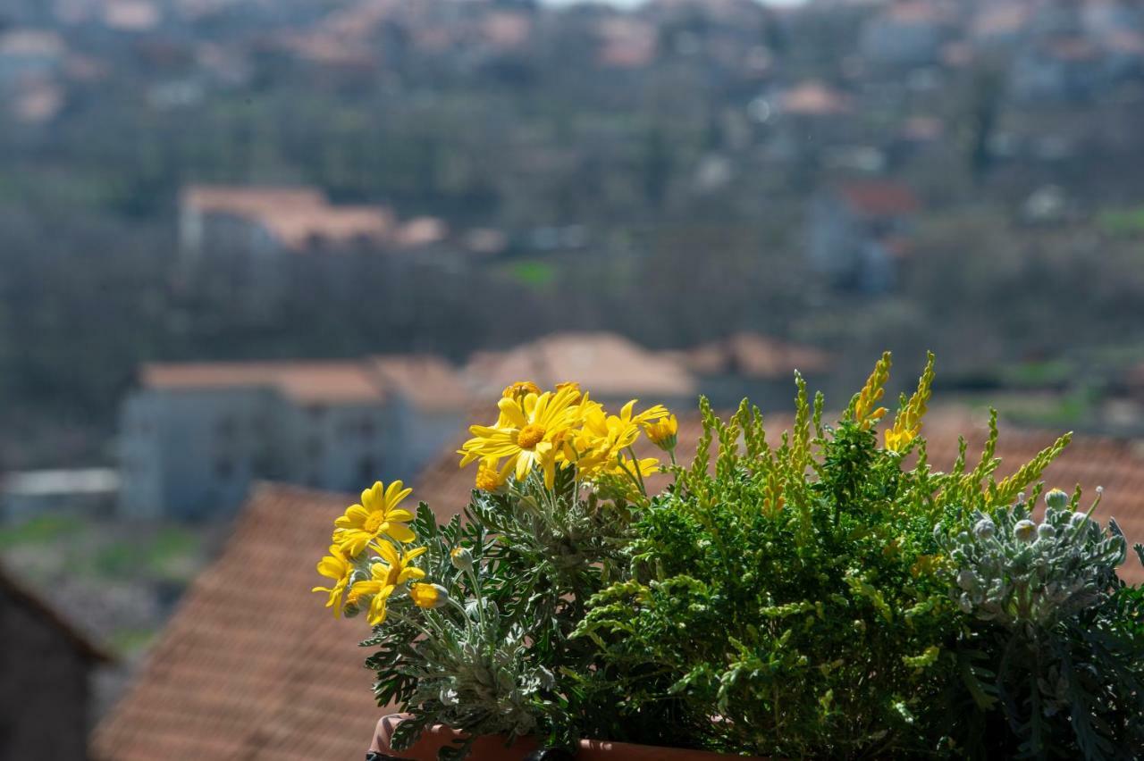 Appartamenti Aria Di Verde Agerola Exteriör bild